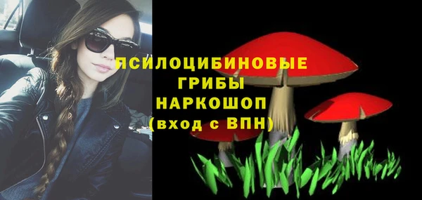 молекула духа Аркадак