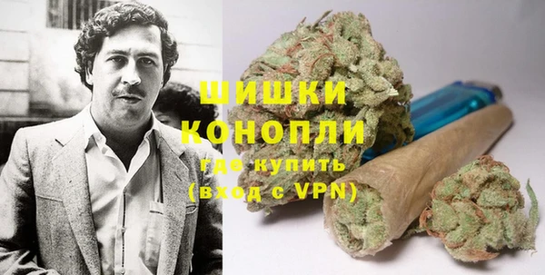 молекула духа Аркадак