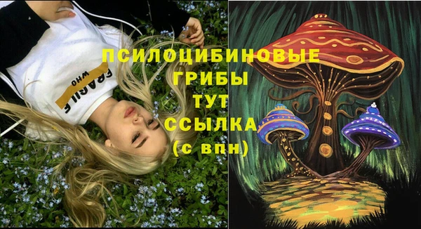 герыч Арсеньев