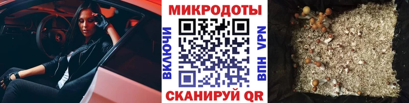Галлюциногенные грибы мухоморы  Мезень 